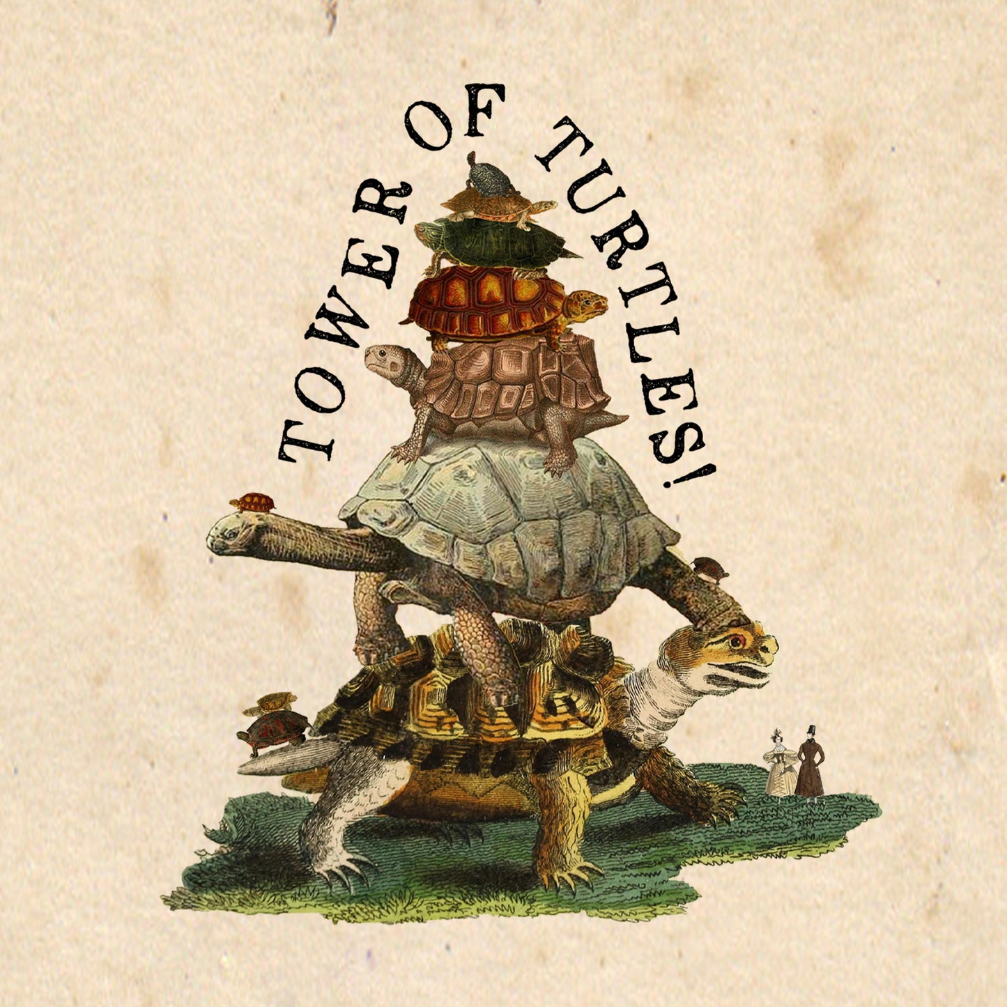 Tower of Turtles SLATE